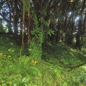 Meet your Posher, Ethan